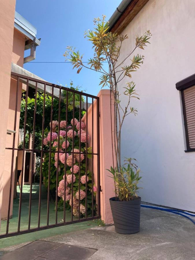 نوفي ساد Apartment Dunja Center Welcome المظهر الخارجي الصورة